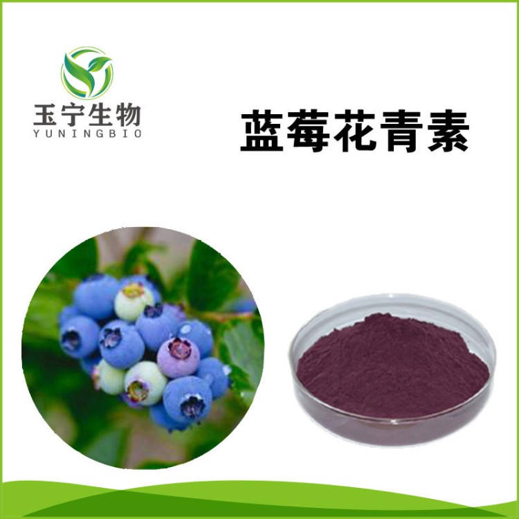 源自天然 藍(lán)莓花青素 25% 出口標(biāo)準(zhǔn)Blueberry Anthocyanin