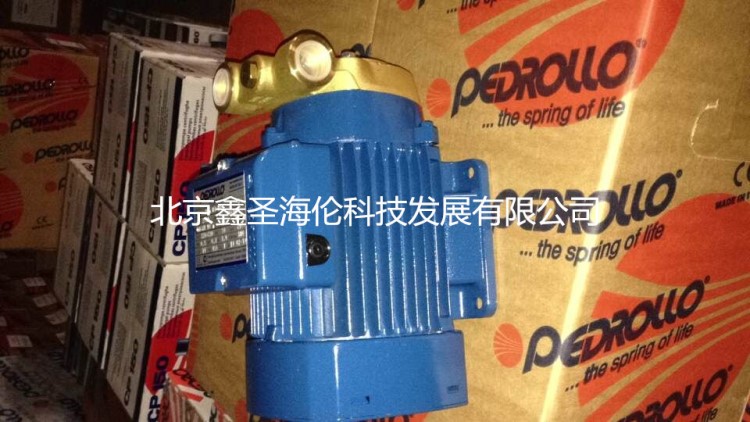 PEDROLLO佩德羅水泵PQA90配件PQA70泵頭葉輪機(jī)封LOWARA荏原
