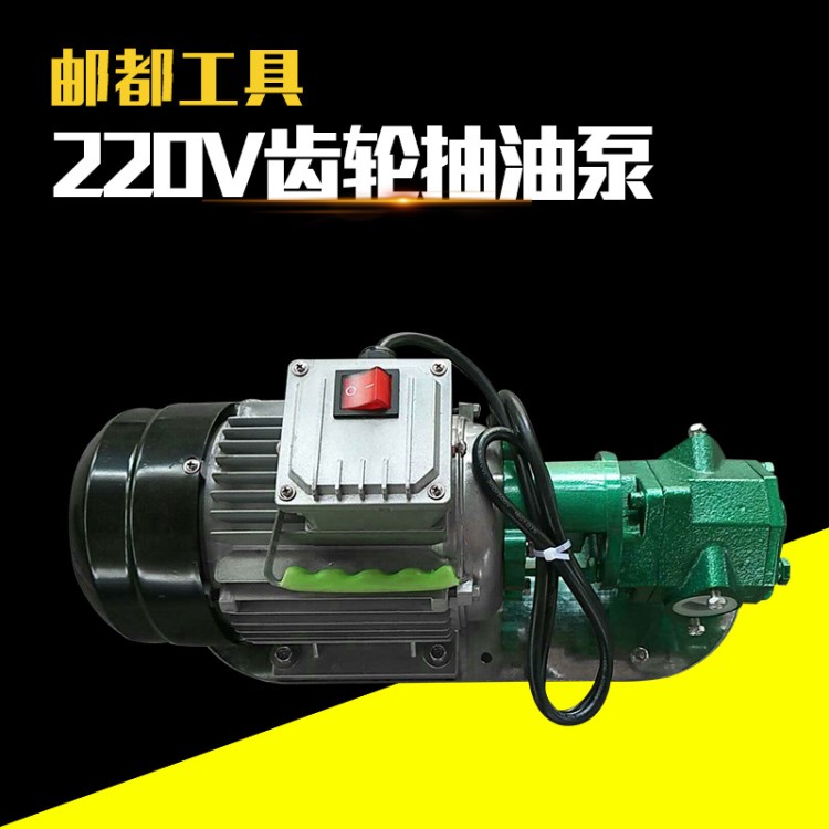 厂家批发不锈钢齿轮油泵 小型电动抽油泵220v 工业型电动油泵