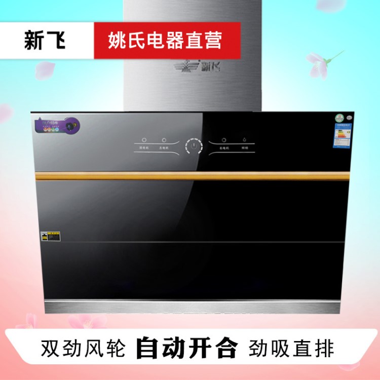 新飛抽油煙機6017式大吸力廚房油煙機T型中式油煙機批發(fā)