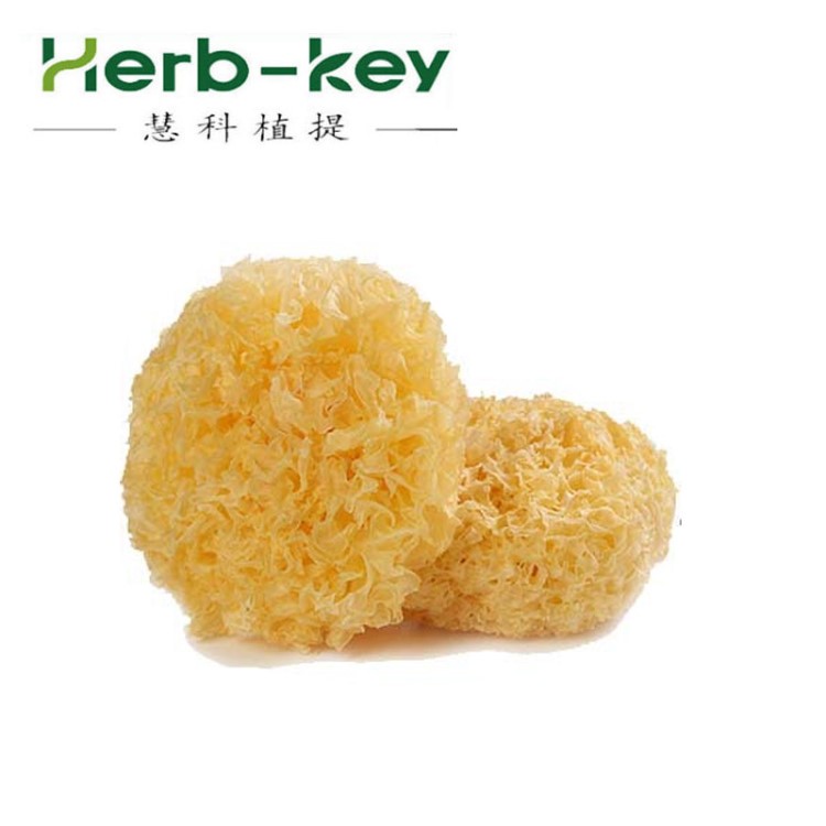 陜西慧科  銀耳多糖30% 真菌提取 銀耳提取物 低價(jià)包郵