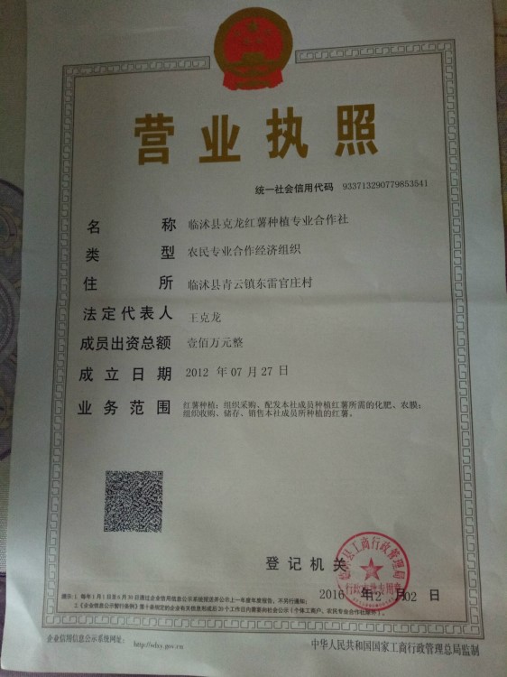 供加工廠專用紅心紅薯薯&mdash;&mdash;紅香蕉量大質(zhì)優(yōu)