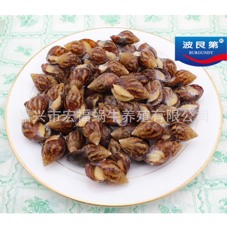 單凍 白玉蝸牛粒 帶殼蝸牛肉 1KG/包  特色食材 55-60粒