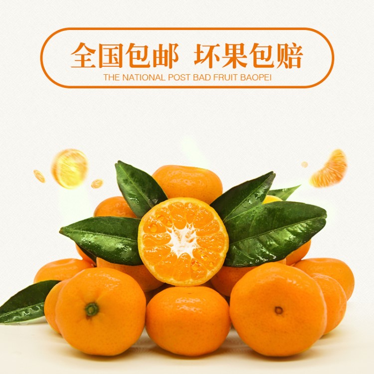 廣西南豐蜜桔特產(chǎn)新鮮不打蠟薄皮貢桔現(xiàn)摘現(xiàn)發(fā)農(nóng)家水果5斤