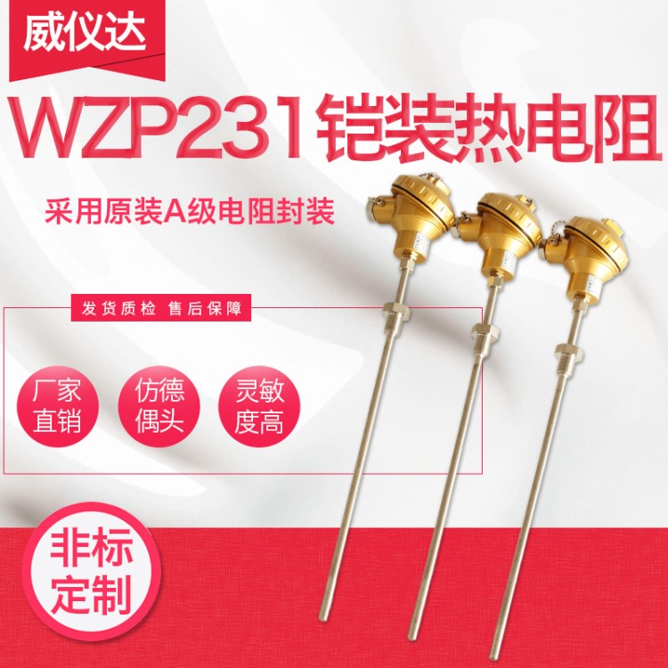 鎧裝鉑熱電阻WZPK-231 鍋爐管線測溫探頭 仿PT100 固定螺紋