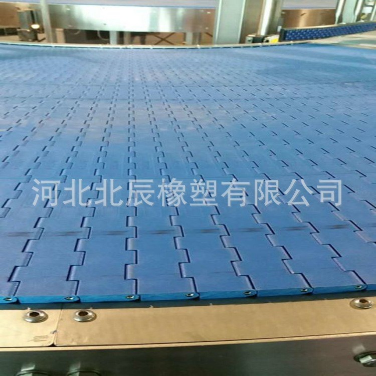 廠家供應物優價廉塑料網鏈  塑料鏈網  傳送設備網鏈