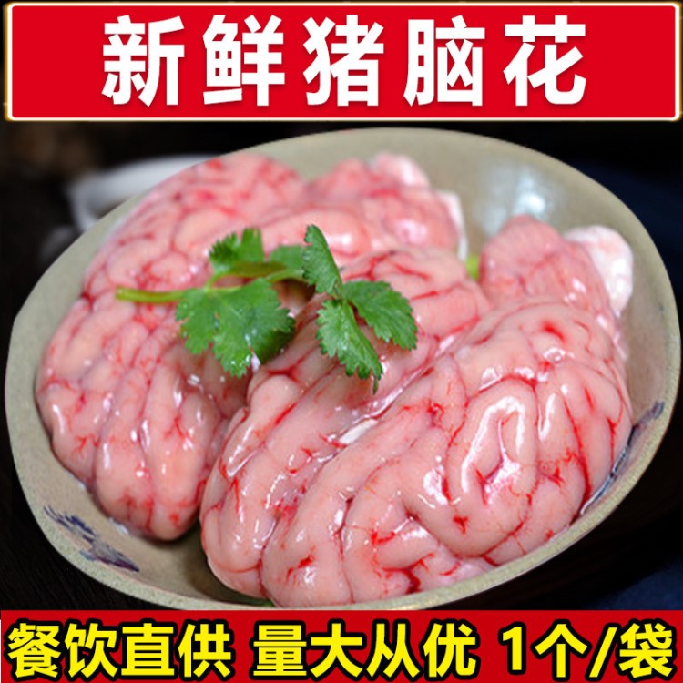 火鍋食材批發(fā) 凍鮮豬腦花獨(dú)立包裝 冷凍豬副產(chǎn)品豬腦順豐冷鏈包郵