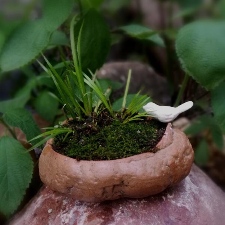 花盆陶瓷陶盆水培菖蒲銅錢草花盆多肉植物石頭花盆創(chuàng)意花盆陶瓷盆