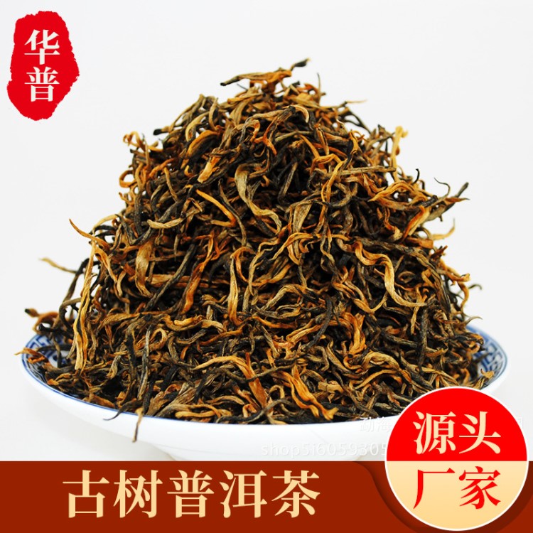 云南普洱茶  古樹紅茶 芽頭粗壯 茶湯色紅濃明亮 接受貼牌 代加工