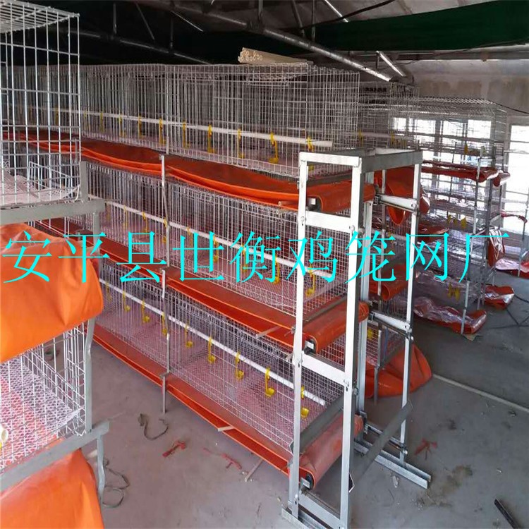 養雞設備 自動化養殖設備 肉雞專用自動設備