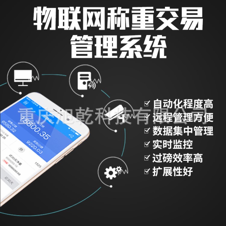 軟件工業環境電子衡器微機稱重軟件 現代化稱重管理軟件