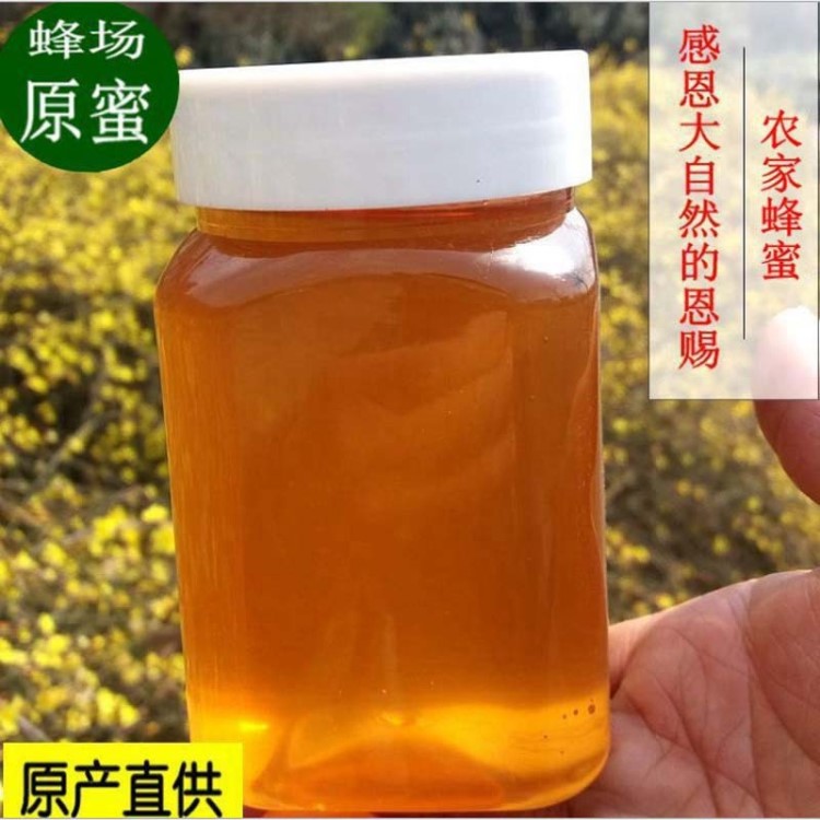 天然農(nóng)家蜂場(chǎng)野生荊條花百花土蜂洋槐棗花椴樹(shù)蜂蜜批發(fā)一件代發(fā)