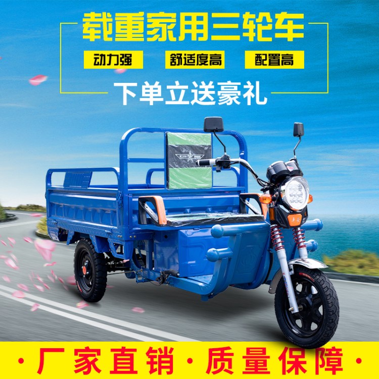 電動(dòng)三輪車(chē)貨運(yùn)代步車(chē)接送孩子家用貨車(chē)載貨拉貨電瓶大功率新款