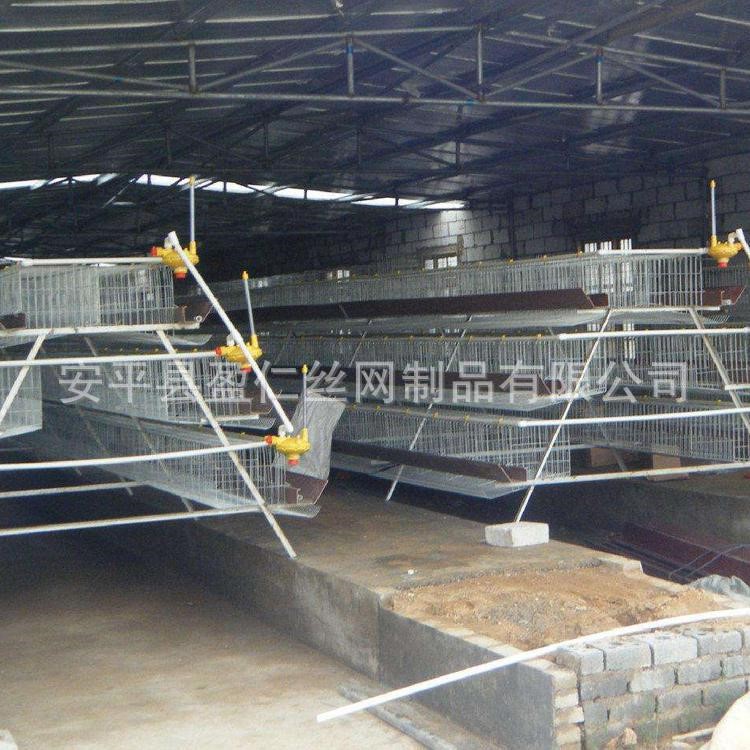 大量供應 家用雞籠 熱鍍鋅雞籠 自動化蛋雞養殖設備