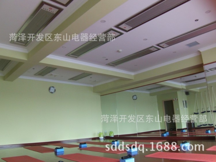 供應(yīng)養(yǎng)生館理療輻射加熱器   高溫瑜伽房遠(yuǎn)紅外輻射器