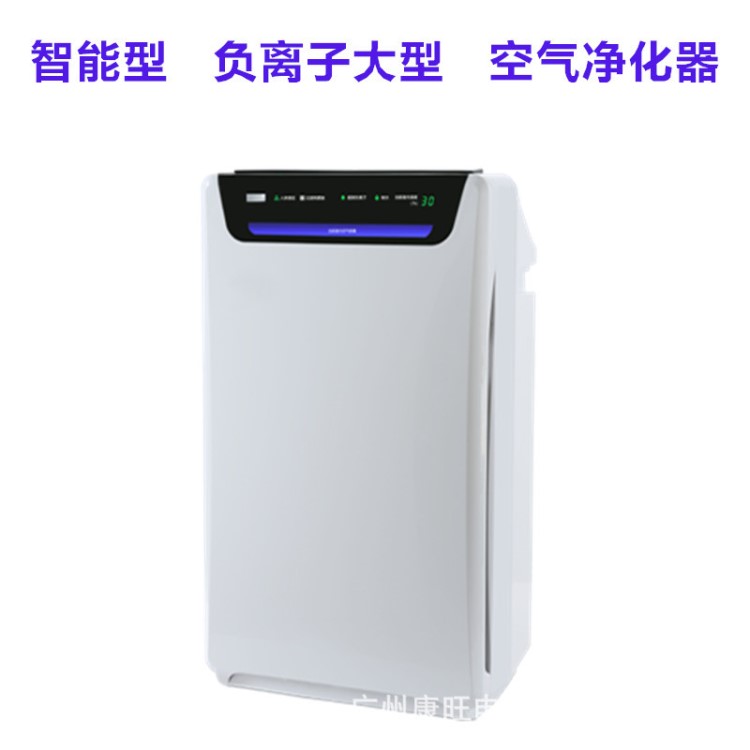 智能負(fù)氧空氣凈化器除霧霾 異味PM2.5加濕家用氧吧負(fù)離子健康儀