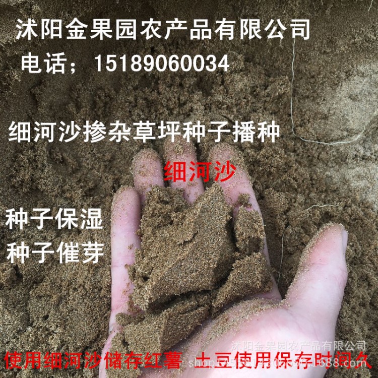 细河沙批发种子沙藏草坪种子辅助播种鱼缸垫底建筑家装造房子黄沙