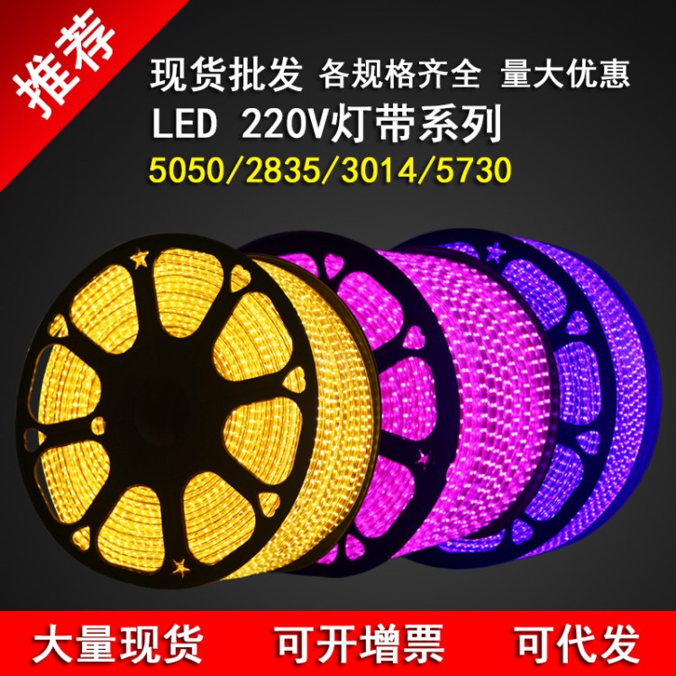 led燈帶5050防水高壓雙排三排220V燈帶 LED貼片柔性軟燈條