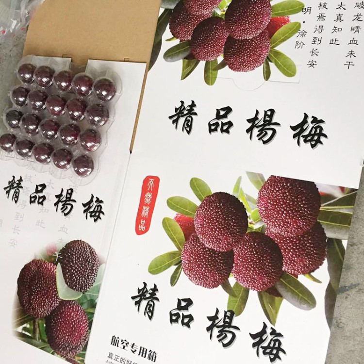 新鮮楊梅現(xiàn)貨5斤裝 產(chǎn)地現(xiàn)摘發(fā)貨慈溪非仙居楊梅大果 水果批發(fā)