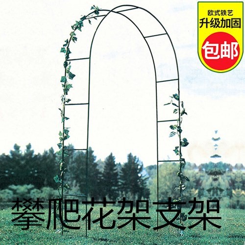 用設(shè)計(jì)天臺(tái)花園爬藤架花支架子庭院場(chǎng)景花藝花藤架爬架綠蘿植物