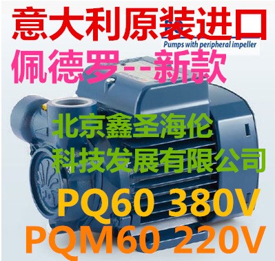 佩德羅水泵pq60佩德羅pqm60水泵PEDROLLO佩德羅CP150水泵CP130