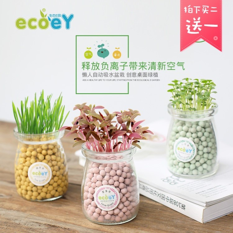 綠植室內(nèi)盆栽兒童種植迷你小盆栽植物DIY創(chuàng)意小花農(nóng)可愛幼兒園