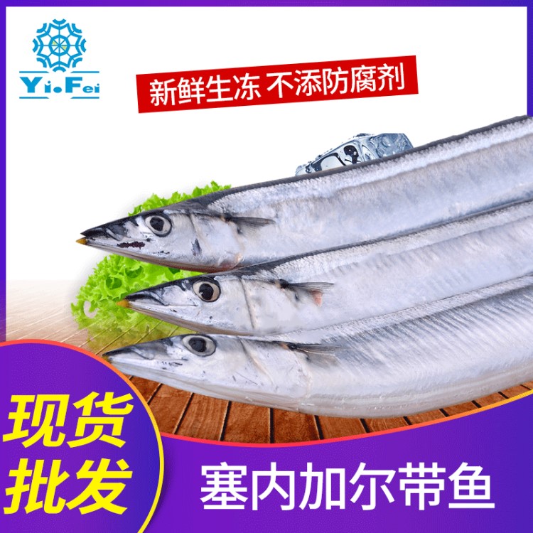 一手貨源野生新鮮美味帶魚廠家直銷冷凍海魚餐飲酒店食品帶魚