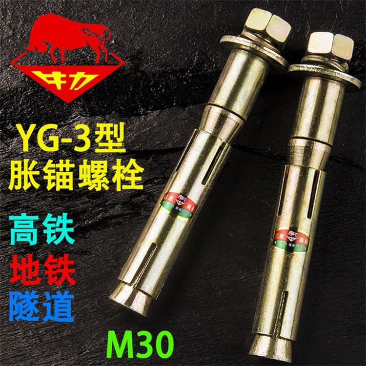 YG3型膨脹螺栓 M30*295地鐵高鐵隧道高強度抗震抗沖擊膨脹螺絲