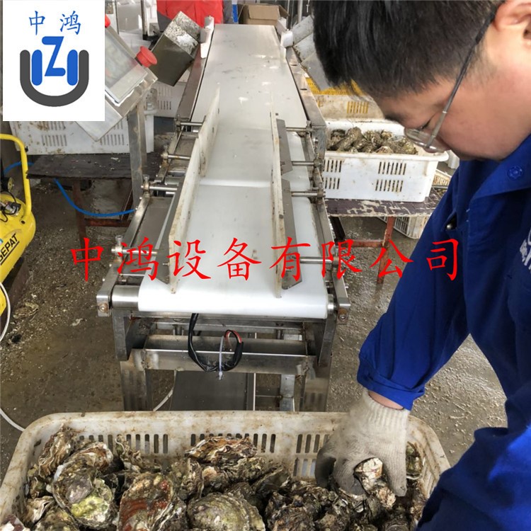 皮帶式動(dòng)態(tài)稱重重量分揀機(jī) 重量分選秤