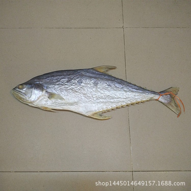 批發(fā) 北海特產(chǎn) 咸魚干貨 大馬鮫魚干（3-7斤1條）500克