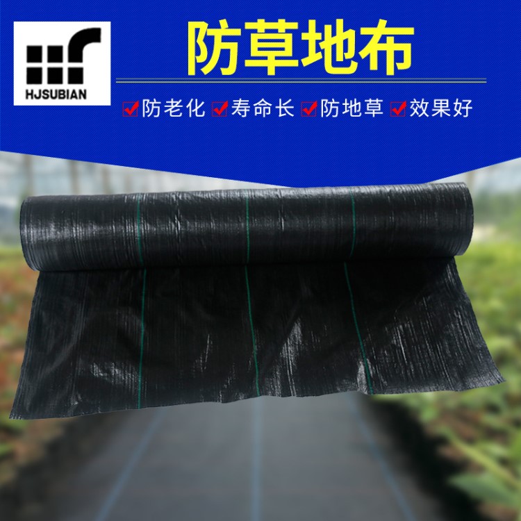 防草布抑草布 廠家直銷(xiāo)定制防草地布黑色園藝地布除草布?jí)勖L(zhǎng)