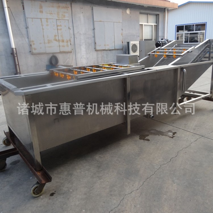 蔬菜反浪除渣清洗機 氣泡噴淋式龍須菜塌菜去污清洗及設備 洗果機