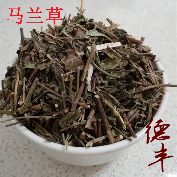 德豐供應(yīng)冷背 馬蘭草 魚鰍串 泥鰍串 雞兒腸 田邊菊 路邊菊