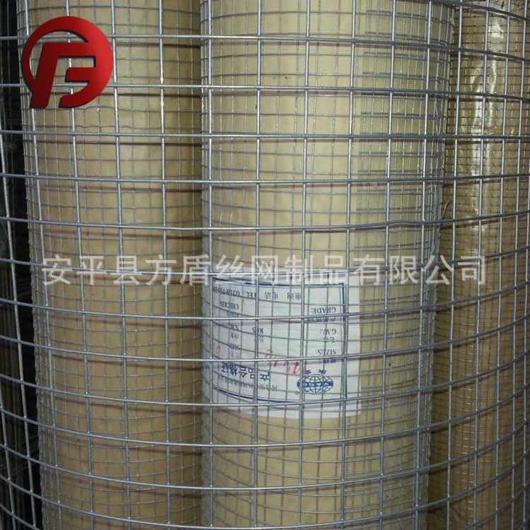 浸塑改拔絲電焊網(wǎng) 養(yǎng)殖圈地護欄用鐵絲網(wǎng) 高強度耐腐蝕不銹鋼網(wǎng)片