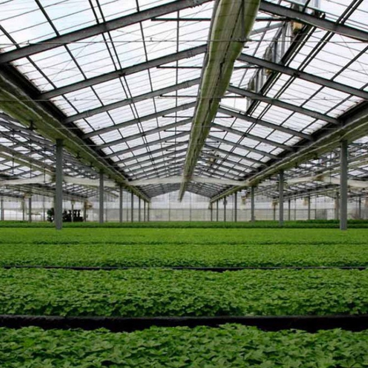 廠家補貼鋼管骨架農用蔬菜大棚 定制溫室種植水果花卉蔬菜大棚