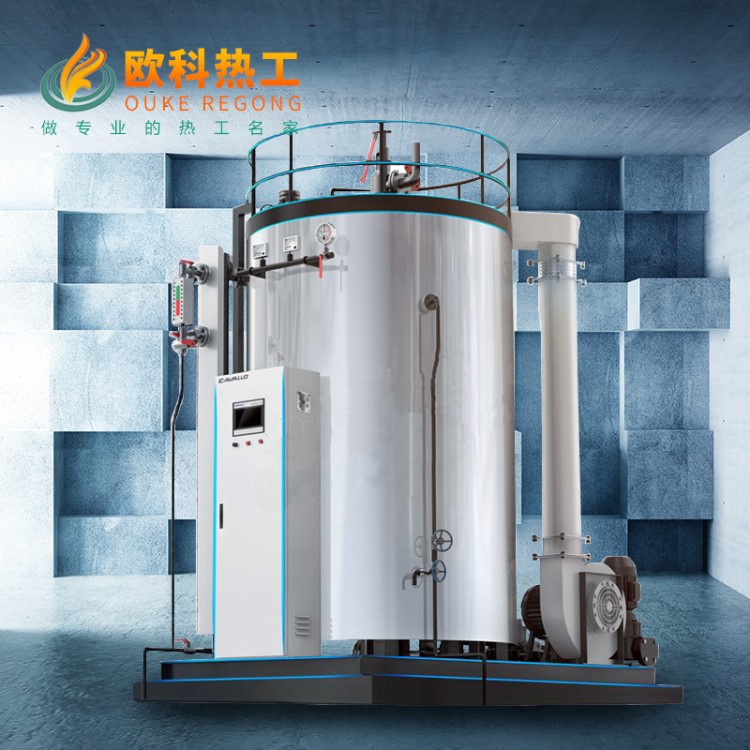 2噸蒸汽鍋爐 配自動加藥機 節能冷凝一體機 保障鍋爐清潔排放