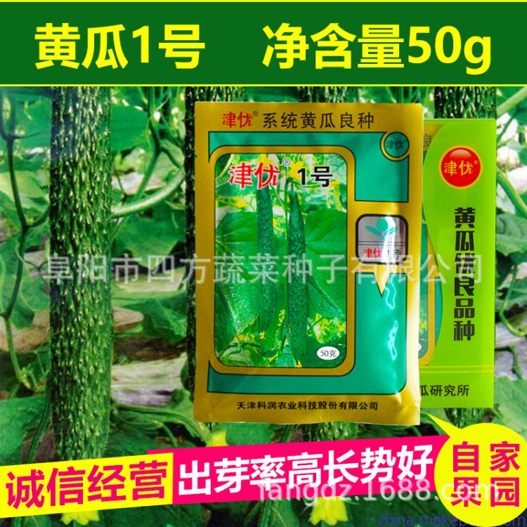 津优1号黄瓜种子50g 瓜果蔬菜种子 大棚蔬菜种子 黄瓜种子