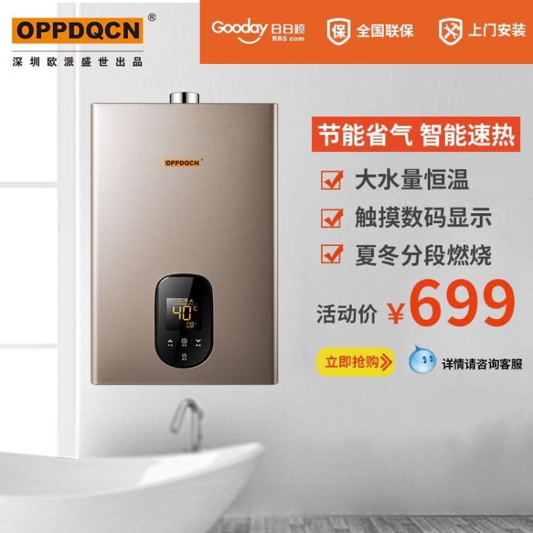 廠家直銷燃氣熱水器天然氣家用液化氣12升l恒溫強排式