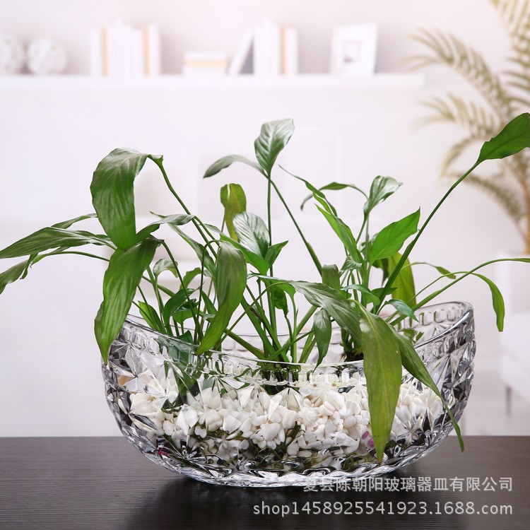 水培植物盆魚缸歐式工藝品果盤花瓶創意大元寶玻璃盆透明批發