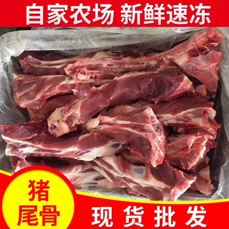 冷凍豬尾骨豬尾骨 新鮮冷凍豬尾骨 豬精肉批發(fā) 長期供應(yīng)豬副