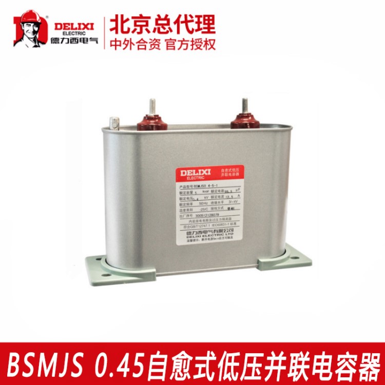 德力西BSMJS功率補償電容 自愈式低壓并聯(lián)電容器0.45BZMJ電容