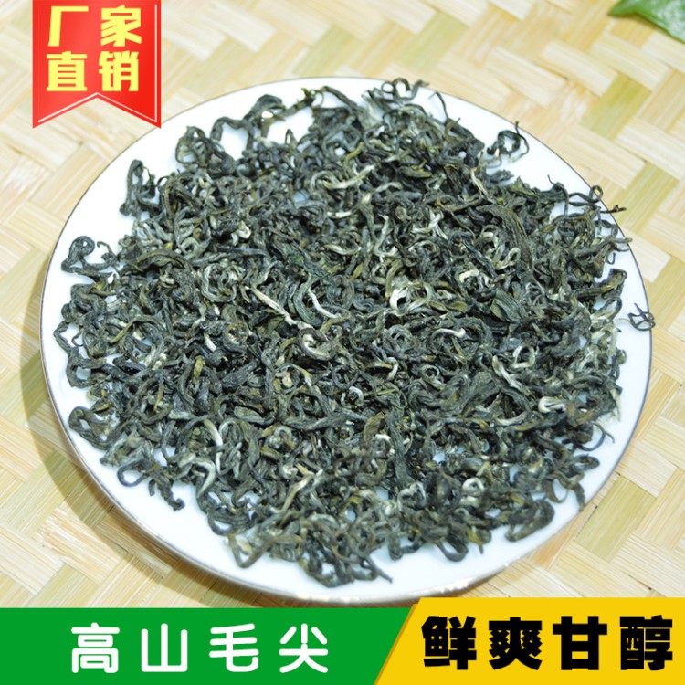 廠家批發(fā)2019年春茶 嫩芽綠茶  鮮爽醇香型曲毫 信陽毛尖