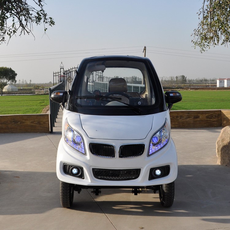 电动轮椅车电动汽车 成人全封闭家用电动四轮车 两门三座