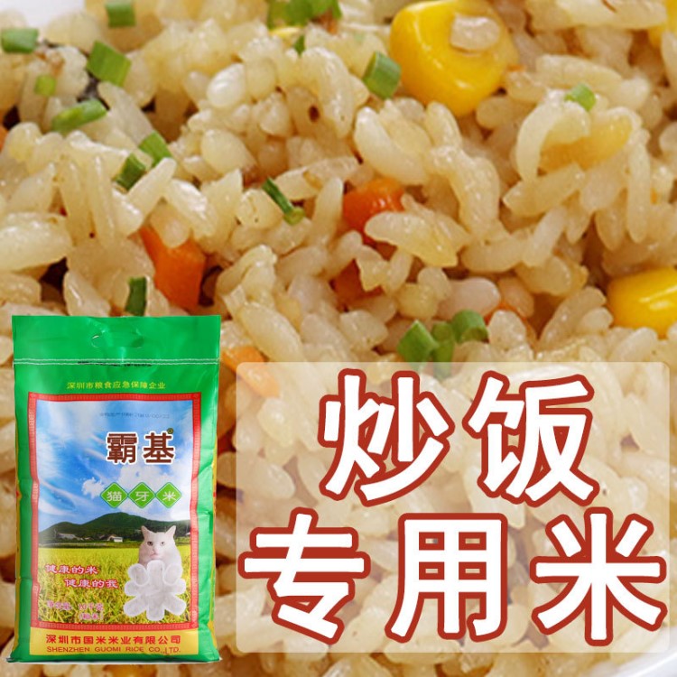 炒飯專用大米 霸基貓牙米10KG批發(fā)廠家直批秈米20斤湖北新米