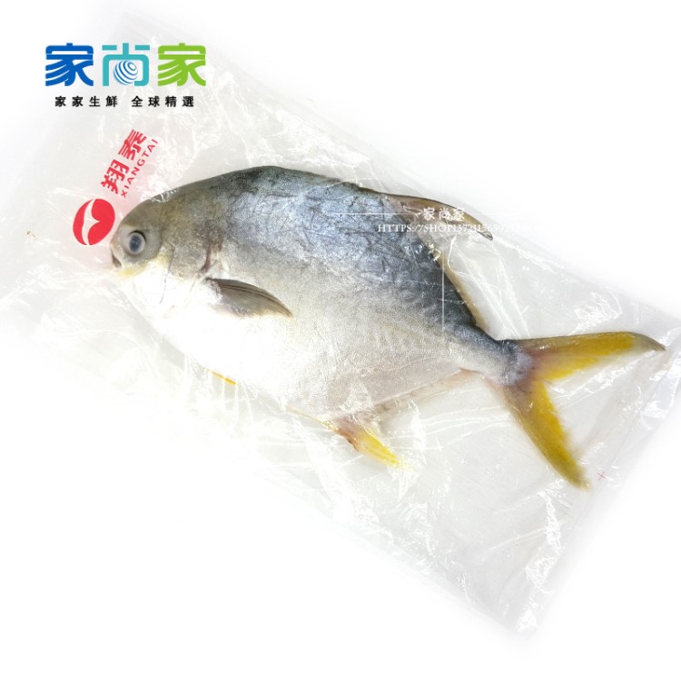 批發(fā)銷售金倉魚，供應金昌魚 ，金鯧魚批發(fā) ， 船凍金昌魚