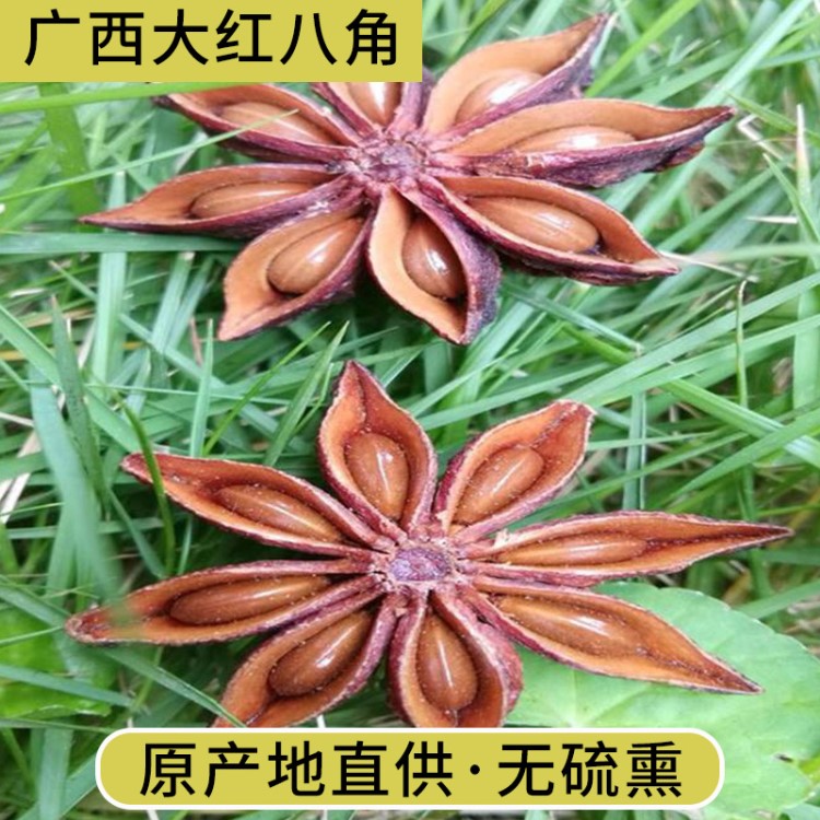 八角廣西大紅八角春花干支大茴香五香料調(diào)料烹飪作料大料包鹵肉料