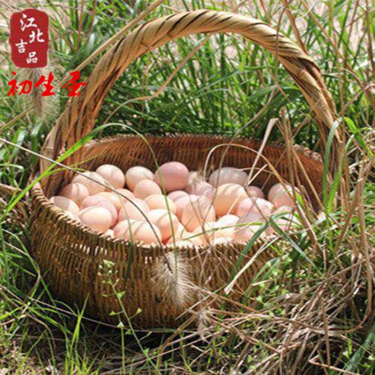土雞蛋【初生蛋】 農(nóng)場生態(tài)放養(yǎng)笨柴草雞蛋30枚一件代發(fā)包郵