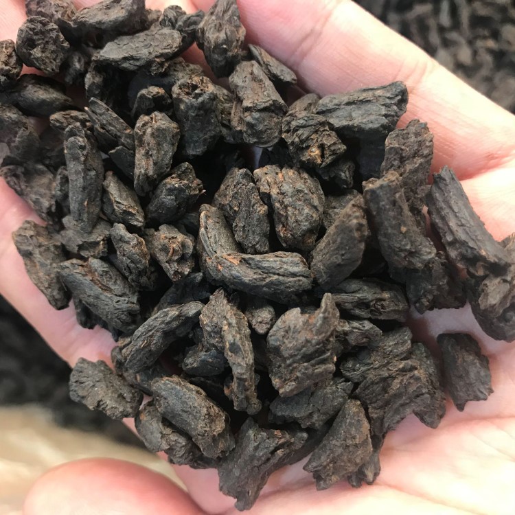 高端茶头 5年老料 碎银子茶化石 原味糯米香 普洱茶老茶 熟茶散料