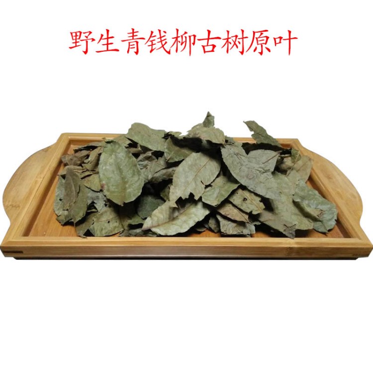 青錢柳原葉茶野生青錢柳養(yǎng)生茶張家界特產(chǎn)青錢柳成葉散裝批發(fā)