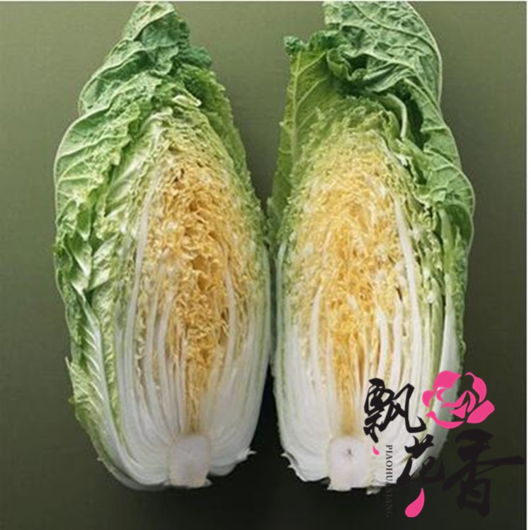 蔬菜水果種子  蔬果種子 黃金大白菜種子 四季可播